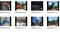 《神奇的朋友》第一季中文版视频